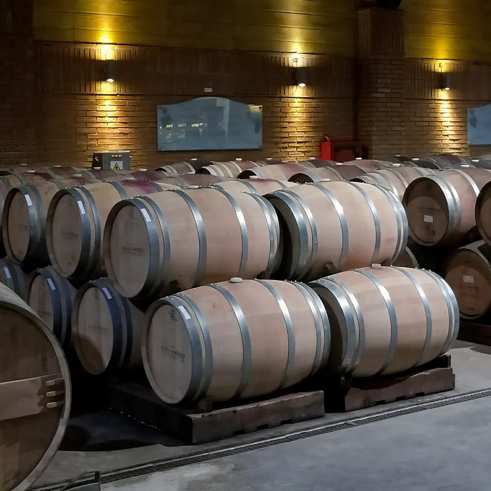 Wine Storage Humidity Control Wine Storage Humidity Control