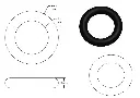Capture.webp