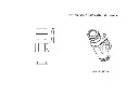 Capture.webp
