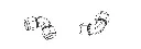 Capture.webp