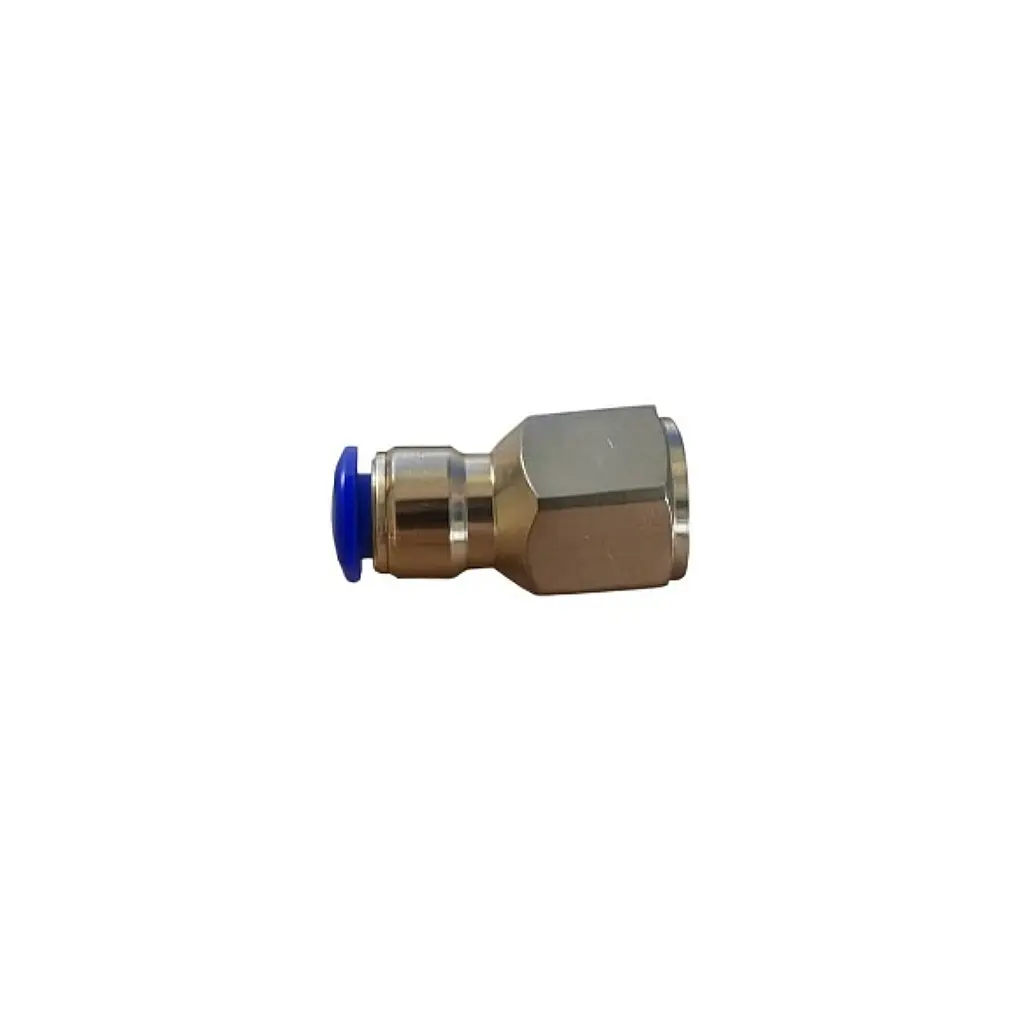 1/4 Inch Female Thread x 1/4 Inch Push Lock Adapter